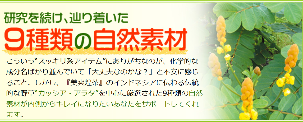 おいしく飲むだけでカラダの中からスッキリ、キレイに。美爽煌茶-フレージュ-05-02-2025_08_09_PM