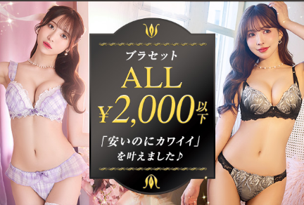 下着-ランジェリー-ブラジャー通販のDRW-ドロー--08-10-2025_07_34_PM